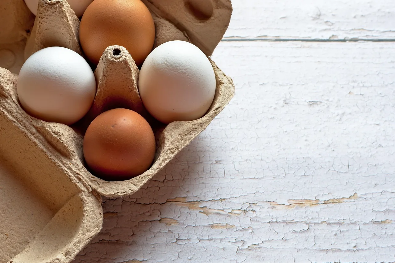 easter eggs, eggs, easter, food, chicken eggs, egg tray, organic, white eggs, brown eggs, packaging, close up, eggs, eggs, eggs, eggs, eggs