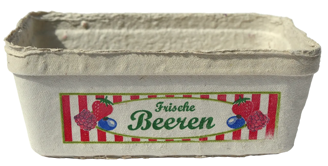 packaging, shell, disposable packaging, bowl of fruit, waste paper, pack, empty, isolated, cardboard, storage, carton, residual waste, cardboard, cardboard, cardboard, carton, carton, carton, carton, carton