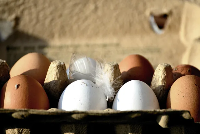 eggs, hen's egg, bio, organic eggs, food, nourishment, eggshell, close up, healthy, natural product, chicken product, brown, egg packaging, egg box, white, feather. Packaging marketing competitor research explained for England teams