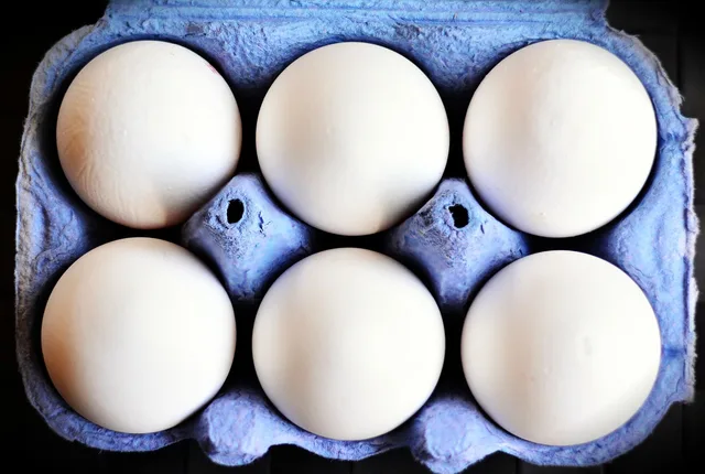 eggs, egg carton, white eggs, hen's egg, food, egg box, nourishment, egg packaging, carton, pack, eggs, egg carton, egg carton, egg carton, egg carton, egg carton, white eggs, white eggs, carton. How to plan a packaging marketing pilot for one SKU