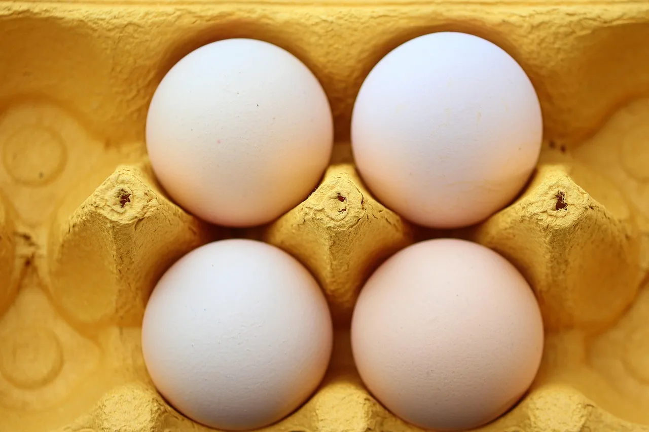 eggs, chicken eggs, food, organic, egg carton, carton, packaging, storage, close up, white eggs, food, egg carton, egg carton, egg carton, egg carton, egg carton, carton, white eggs, white eggs, white eggs